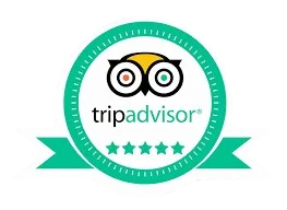 TripAdvisor-removebg-preview